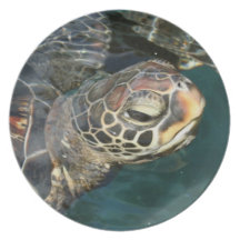 Swimming Turtle Plate