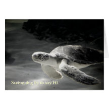 Swimming Turtle Says Hi Cards