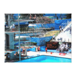 SWIMMING WORLD CHAMPIONSHIP ROME 2009 STRETCHED CANVAS PRINT