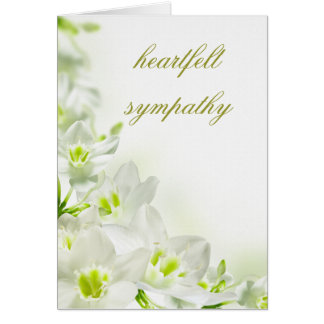 sympathy card template word words of sympathy cards words of sympathy card templates sympathy card template word words of sympathy cards words of sympathy card templates