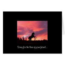 Sympathy- Loss of your horse Greeting Card