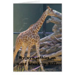 sympathy on your break-up greeting cards