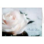 Sympathy Thank You Cards