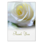 Sympathy Thank You Greeting Card