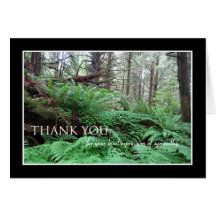Sympathy Thank You Note Card -- Forest