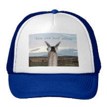 Sympathy: You Are Not Alone Llama Mesh Hats
