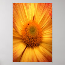 Synapse Posters