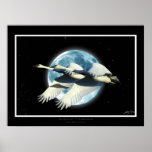 "SYNCHRONICITY" Flying Trumpeter Swans Art Print