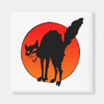 Syndicalist's cat magnets