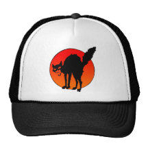 Syndicalist's cat trucker hat