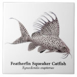 Synodontis Eupterus Featherfin Catfish Tile