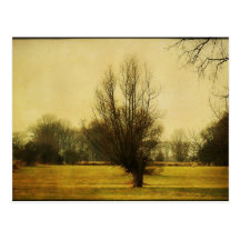 t_2 postcard