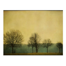 t_3 post cards