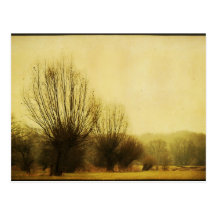 t_6 post cards