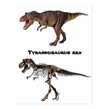 T-rex Flesh-n-Bone,Postcard
