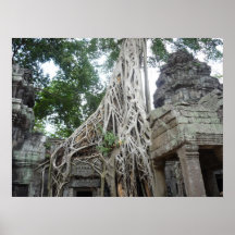 ta prohm tree roots print