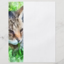 Tabby Cat Closeup Flyer Design