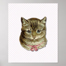 Tabby cat posters