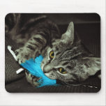 Tabby Cat with Feather Mousepad