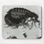 Table IV of Flies and Fleas Mouse Pad