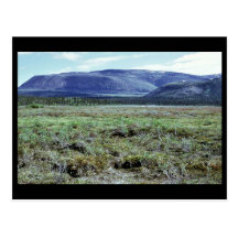 Table Mountain in Summer Postcard