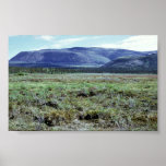 Table Mountain in Summer Poster