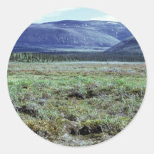Table Mountain in Summer Round Stickers