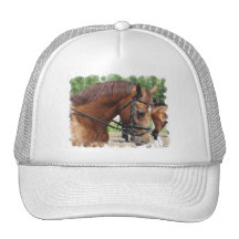 Tacked Draught   Horse  Baseball Hat