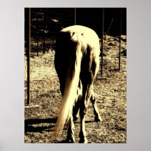 Tail Poster