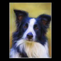 Taj - Border Collie Art postcards