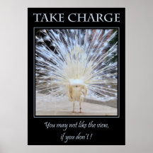 Take Charge Posters