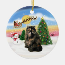 Take Off - Tortie Persian cat Christmas Ornaments