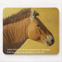 Takhi Stallion, Hustai National Park, Mongolia Mousepads