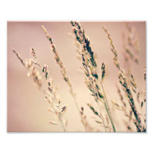 Tall Grass Print 10x8 Art Photo