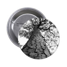 Tall Tree BW Pins