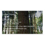 Tall Trees Grove Business Card Template