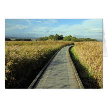 tamar walk cards