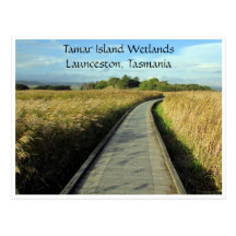 tamar wetlands paths postcards