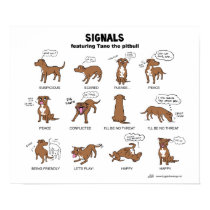 TANO Signals posters