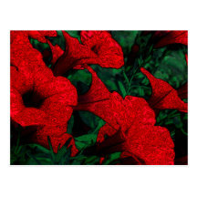 Tapestry Flowers: Red Post Cards