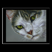 Tara - Cat Art postcards