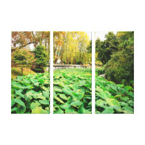 Taro field canvas prints