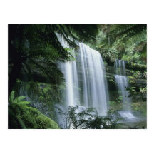 Tasmania, Mt. Field National Park, Russell Falls Post Cards