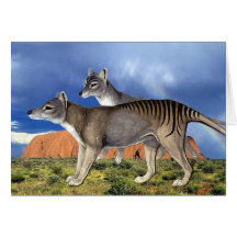 Tasmanian Tiger Card