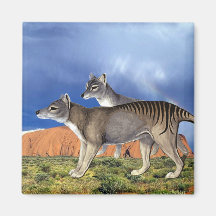 Tasmanian Tiger Magnet