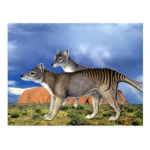 Tasmanian Tiger Postcards