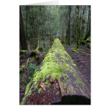 Tassie Tree Greeting Card