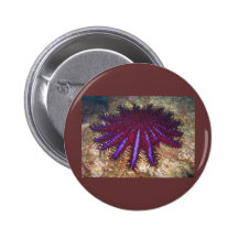 tasteful buttons