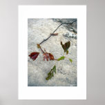 Tattered, lost...and found/Poster