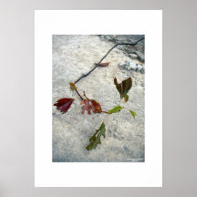 Tattered, lost...and found/Poster